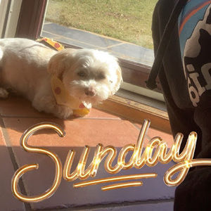 Meet your Posher, Jones